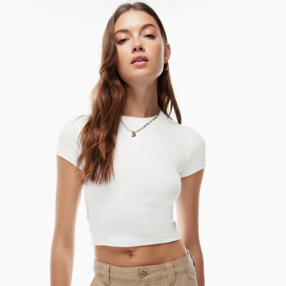 Aritzia TNA Homestretch Crew waist (Cropped) T shirts